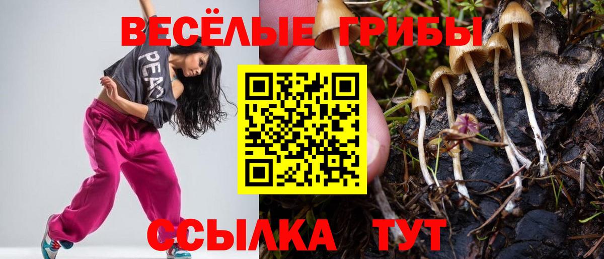 Псилоцибиновые грибы мухоморы Александров