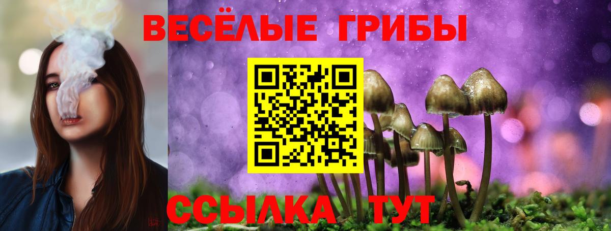 что такое   Вход с VPN  Александров  Псилоцибиновые грибы мицелий 